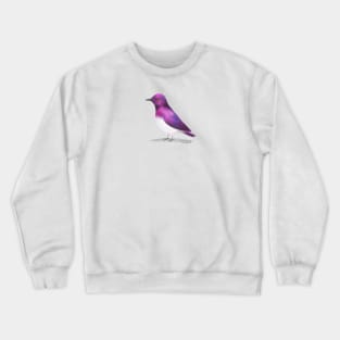 Violet Backed Starling Bird Crewneck Sweatshirt
